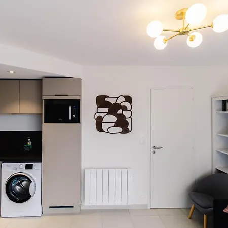 Au Jardin Ginkgo Apartamento Quimper Exterior foto